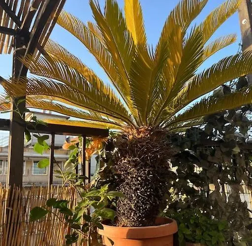 Apartment Da Giorgio E Teresa - Attico Con Terrazza A Piazza Del Popolo *