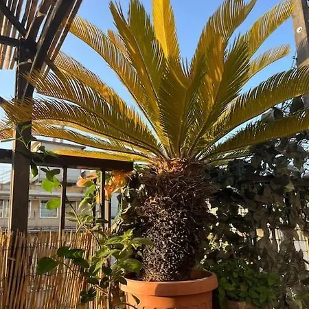 Apartment Da Giorgio E Teresa - Attico Con Terrazza A Piazza Del Popolo *